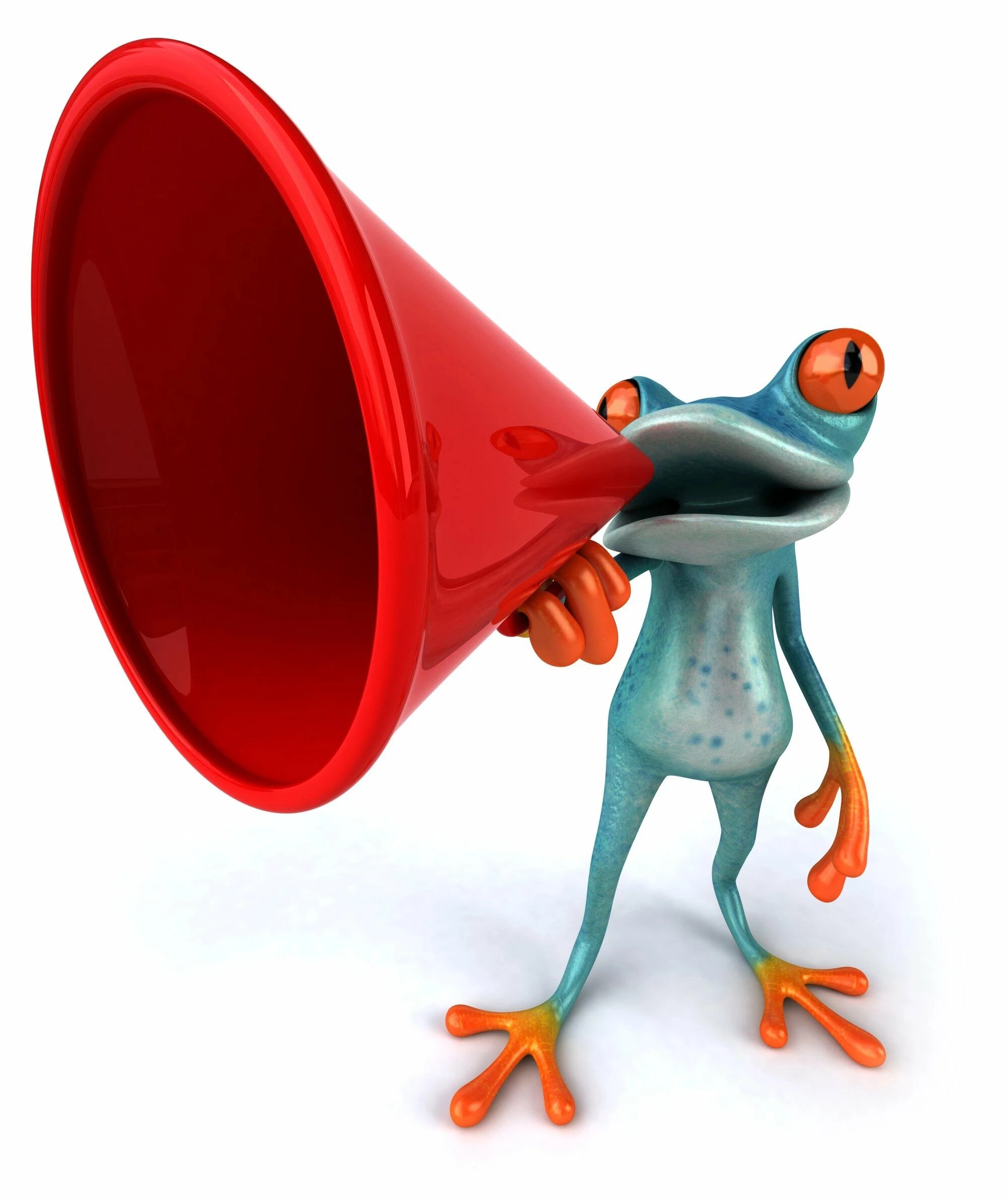 Frosch Marketing sorgt dafür, dass Sie gefunden werden.